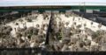 Ostrich chicks and eggs farmers