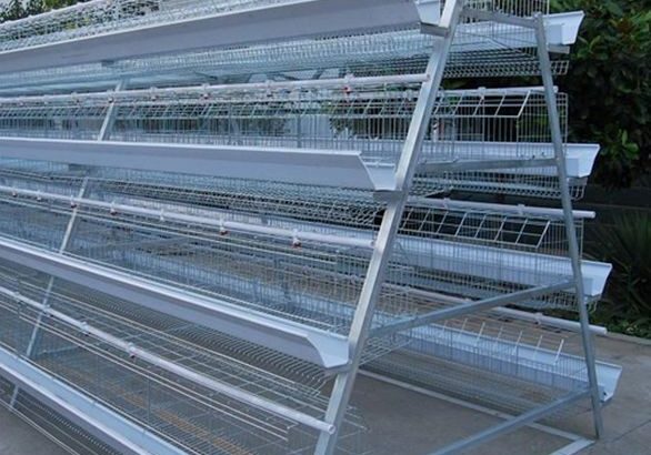 poultry cages