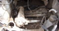 Audi Q7 3.0 TDI 2007 Automatic Front Diff Part