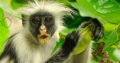 Get Ready To Climbing Kilimanjaro | 7wonderssafari