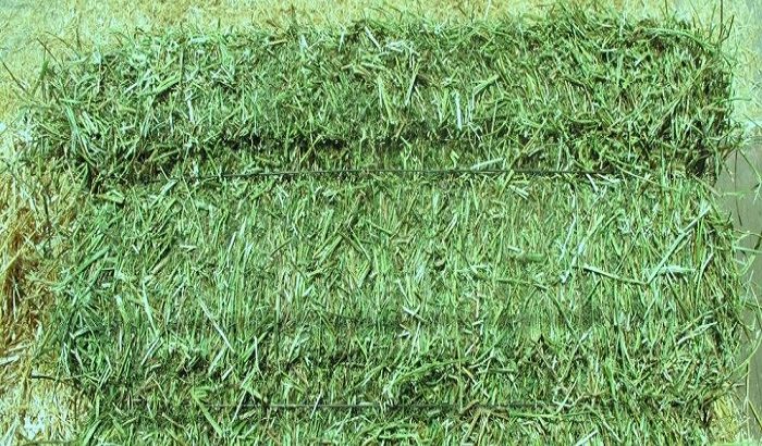 Premium Grade Alfalfa Hay, Timothy Hay, Animal Fee
