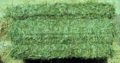 Animal Feed Grade Organic Alfalfa Hay Pellets /Alf