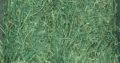 Animal Feed Grade Organic Alfalfa Hay Pellets /Alf