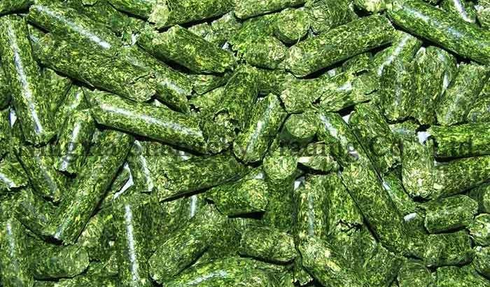 alfalfa hay,Alfalfa Hay Pellets Animal Feed