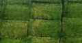 alfalfa hay,Alfalfa Hay Pellets Animal Feed
