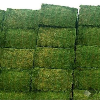 alfalfa hay,Alfalfa Hay Pellets Animal Feed