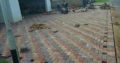 Domestic and industrial Asphalt Pavement Surfacing