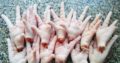 Grade A Chicken Feet for sale watsapp +27631521991