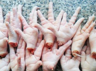 Grade A Chicken Feet for sale watsapp +27631521991