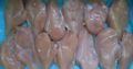 Frozen Chicken Breast for sale watsap +27631521991