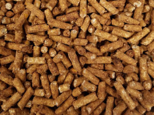 Sheep Feed for sale whatsapp +27631521991