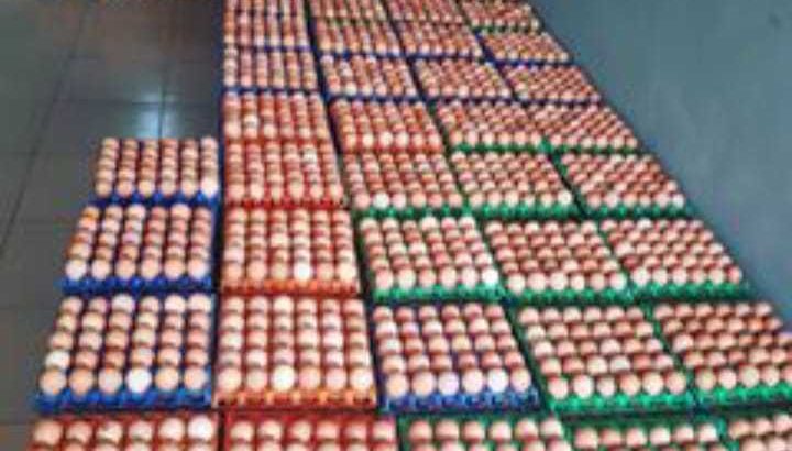 Creat of Eggs