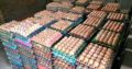 fresh eggs for sale