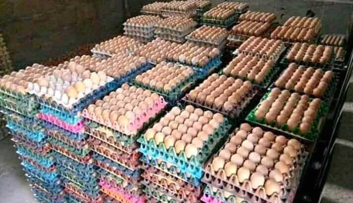 fresh eggs for sale
