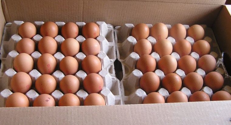 FRESH TABLE WHITE/BROWN EGGS WHATSAPP +27632431669