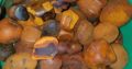 Grade A Cow Ox Gallstone North West