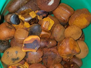 Grade A Cow Ox Gallstone South Africa