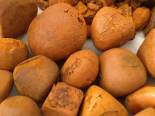 Grade A Cow Ox Gallstone Gauteng