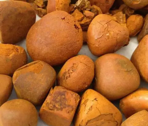 Grade A Cow Ox Gallstone Limpopo