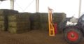 Alfalfa/Lucerne Hay Free State