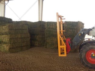 Alfalfa/Lucerne Hay Free State