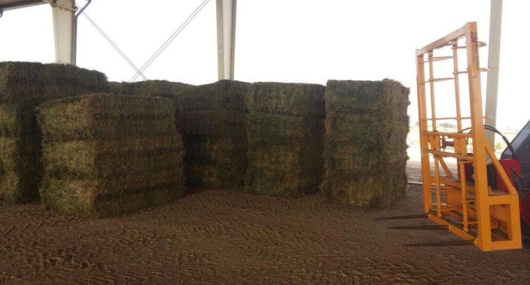 Alfalfa/Lucerne Hay for sale in South Africa