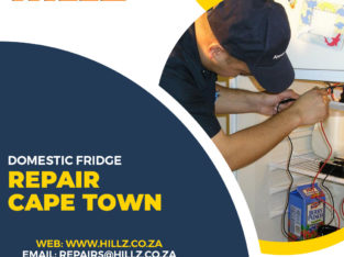 Domestic Fridge Repair – Why You Need it?