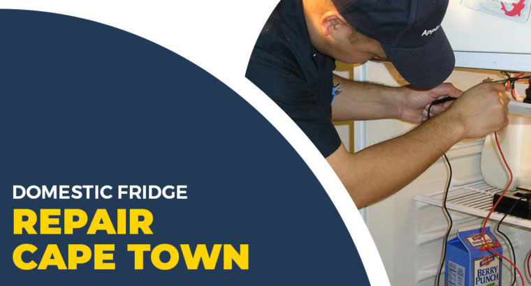 Domestic Fridge Repair – Why You Need it?