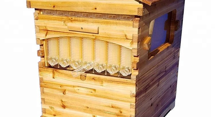 Auto-flow Beehives