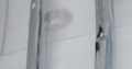 Datsun Roadster Fairlady bumper (1962-1970) by stainless steel