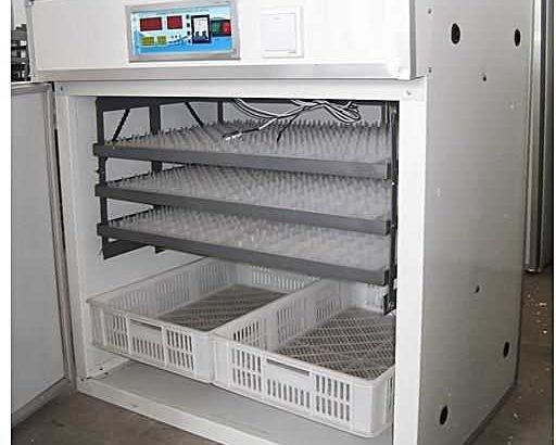 fully automatic egg incubators for all birds