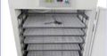 fully automatic egg incubators for all birds