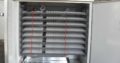 fully automatic egg incubators for all birds