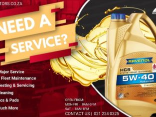 Ryan Pereira Motors (Car Service and Repair)