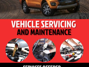 Bakkie Servicing & Repairs