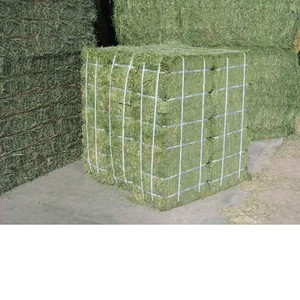 Hay For Sale Lucerne