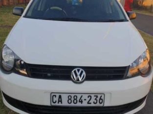 Polo Vivo