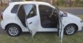Polo Vivo