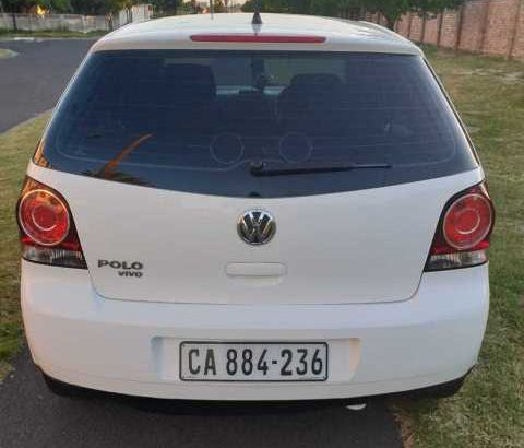 Polo Vivo