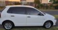 Polo Vivo