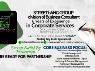Business Consultant