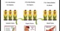 The Aloe Vera juice