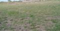 Ideal and Affordable plots in Juja Farm