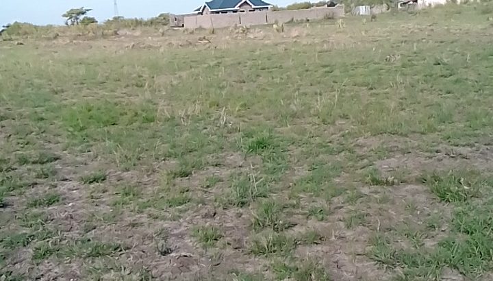 Ideal and Affordable plots in Juja Farm