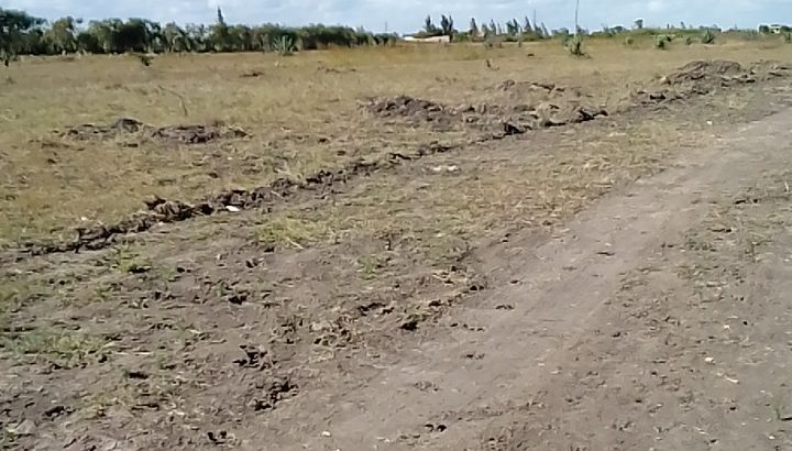 Ideal and Affordable plots in Juja Farm