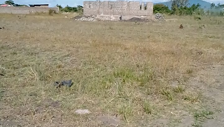 Ideal and Affordable plots in Juja Farm
