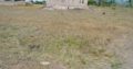 Ideal and Affordable plots in Juja Farm