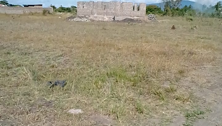 Ideal and Affordable plots in Juja Farm