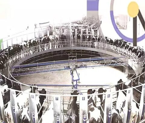 Latest dairy Farming EQUIPMENT, MODERN and efficient