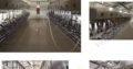 Latest dairy Farming EQUIPMENT, MODERN and efficient